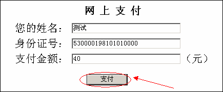 云南省2013年度考試錄用公務(wù)員報(bào)名流程演示圖15