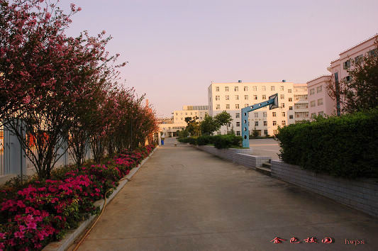 云南國(guó)土資源職業(yè)學(xué)院_花開滿園